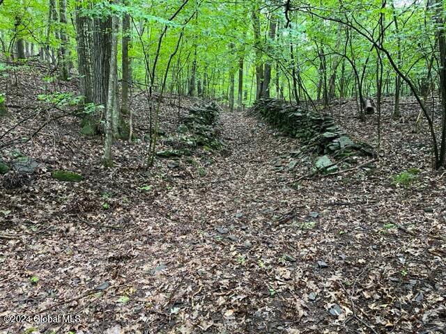 L2.2 Canniff Road Freehold, NY 12431 - Photo 7 of 18 IMG_3392