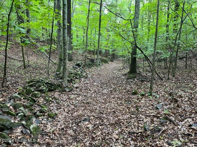 L2.2 Canniff Road Freehold, NY 12431 - Photo 8 of 18 IMG_3393