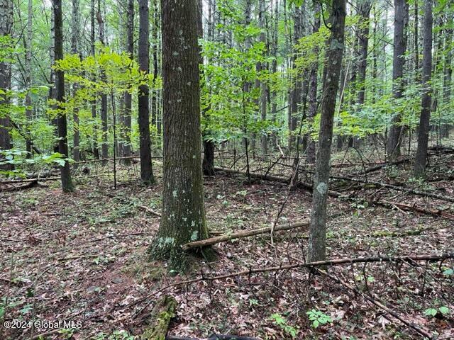 L2.2 Canniff Road Freehold, NY 12431 - Photo 9 of 18 IMG_3394