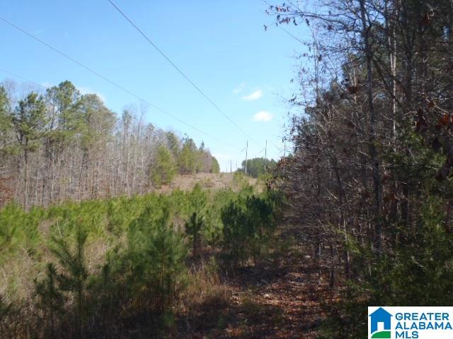0 Shocco Springs Road, Unit 40 5 AC Talladega, AL 35160 - Photo 4 of 30