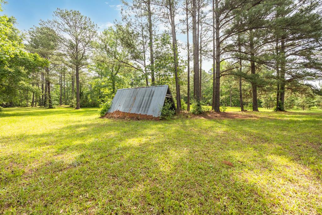 11045 Warm Springs Road Midland, GA 31820 - Photo 44 of 46