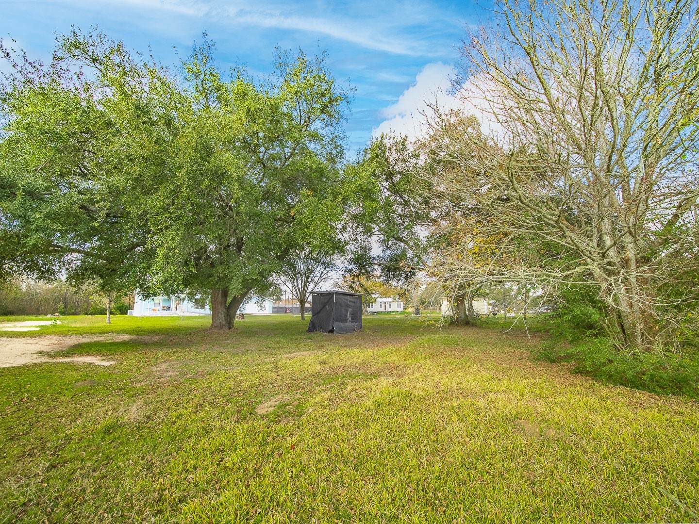 4603 Crosby Cedar Bayou Road Baytown, TX 77521 - Photo 5 of 14 a view of a yard with a large trees