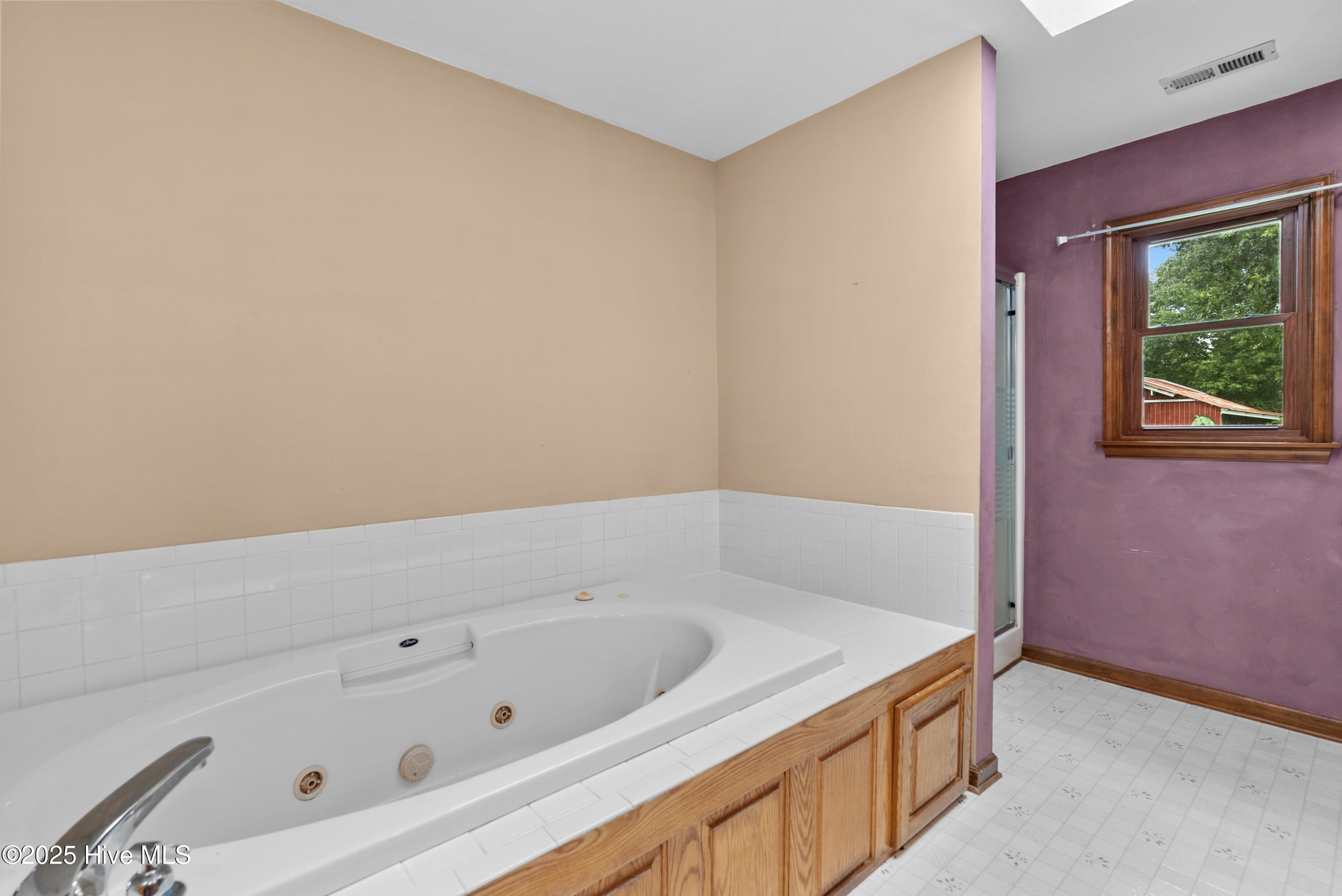 1430 Middle Swamp Road Corapeake, NC 27926 - Photo 19 of 40 Primary Bathroom