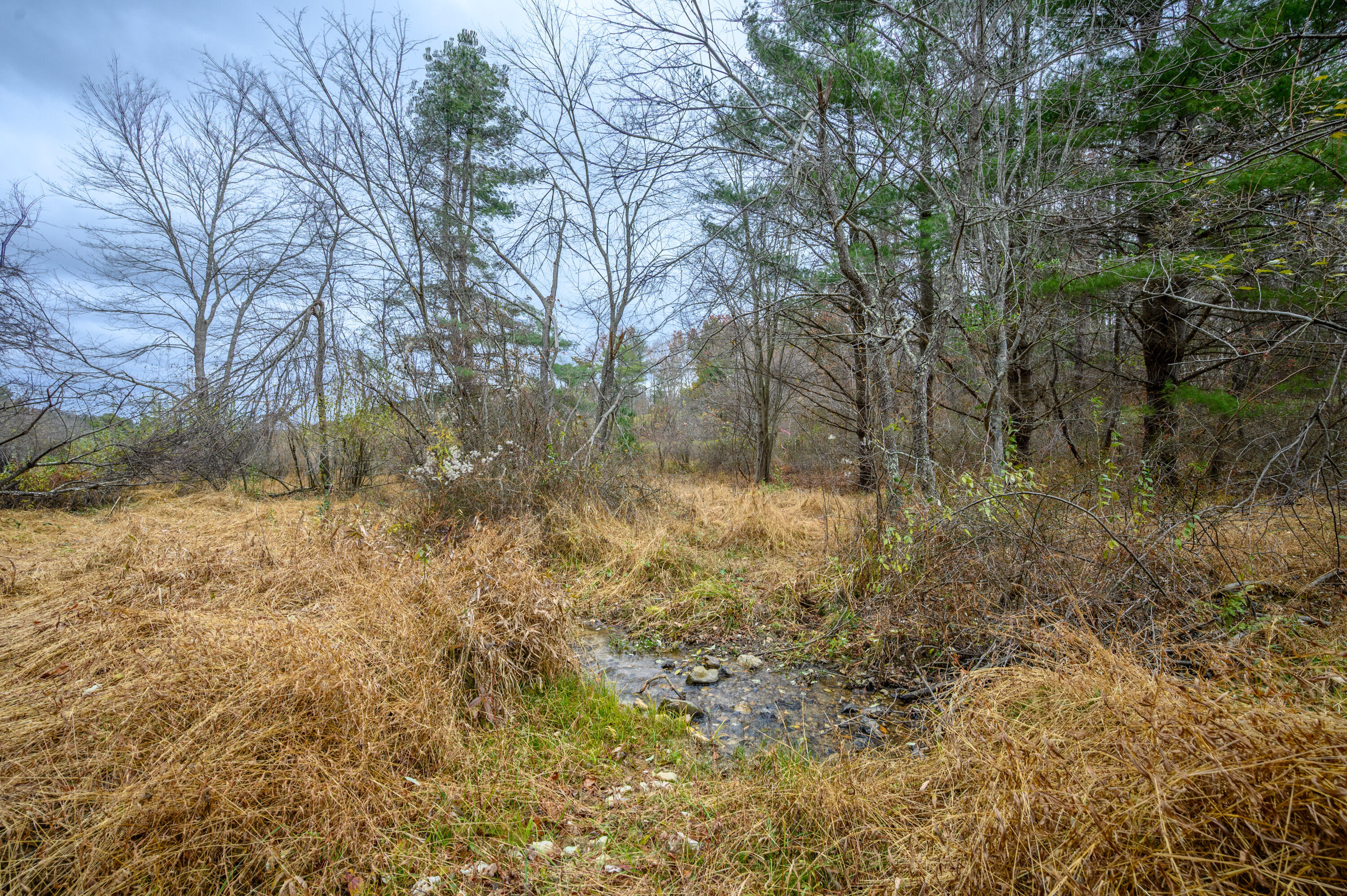 3200 Stonewall Road Northeast Check, VA 24072 - Photo 4 of 16 a view of a yard