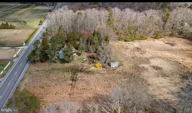 a view of a yard with plants and wooden fence