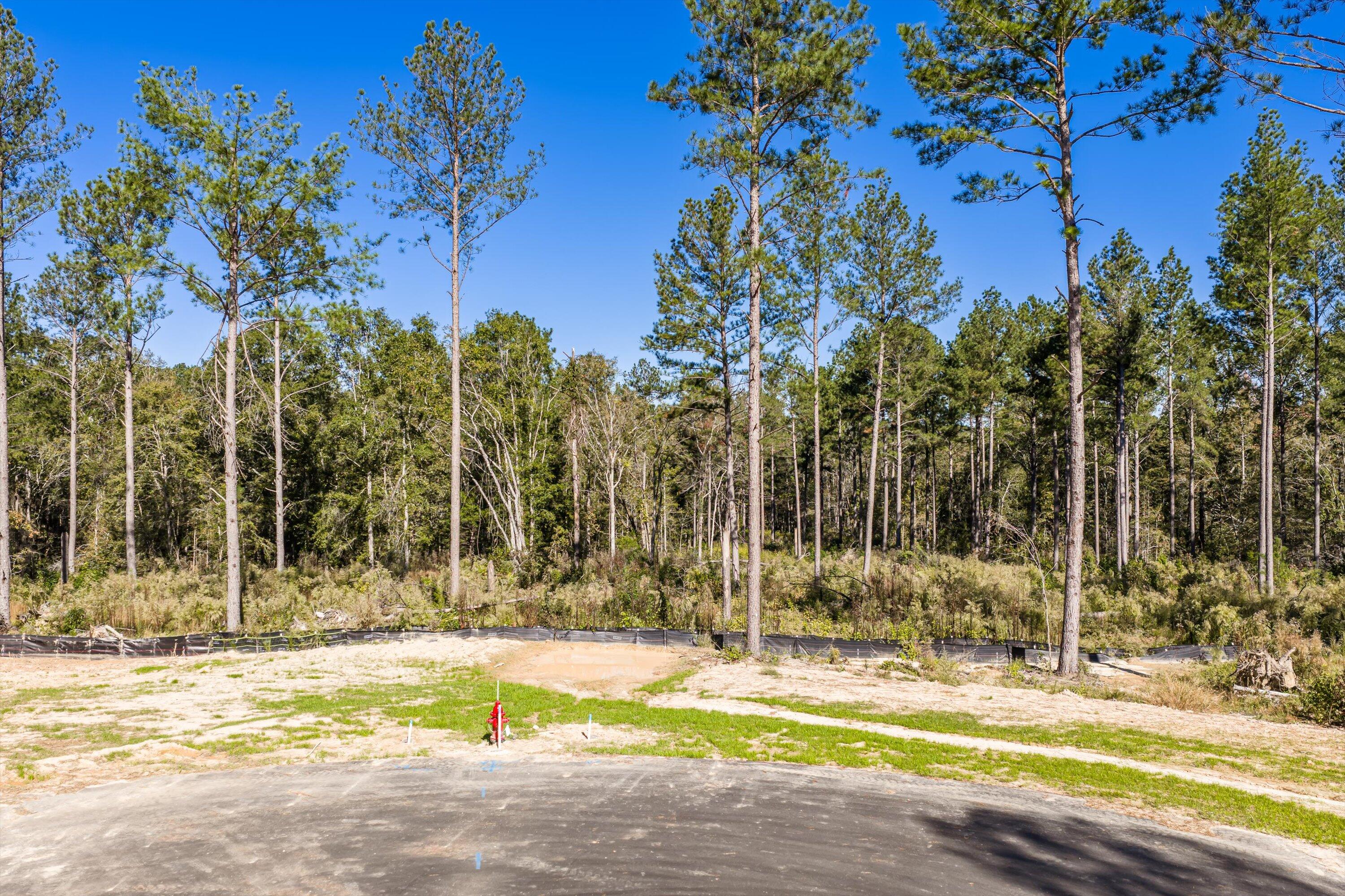 175 Beagle Chase Drive Appling, GA 30802 - Photo 5 of 6 13-lot9