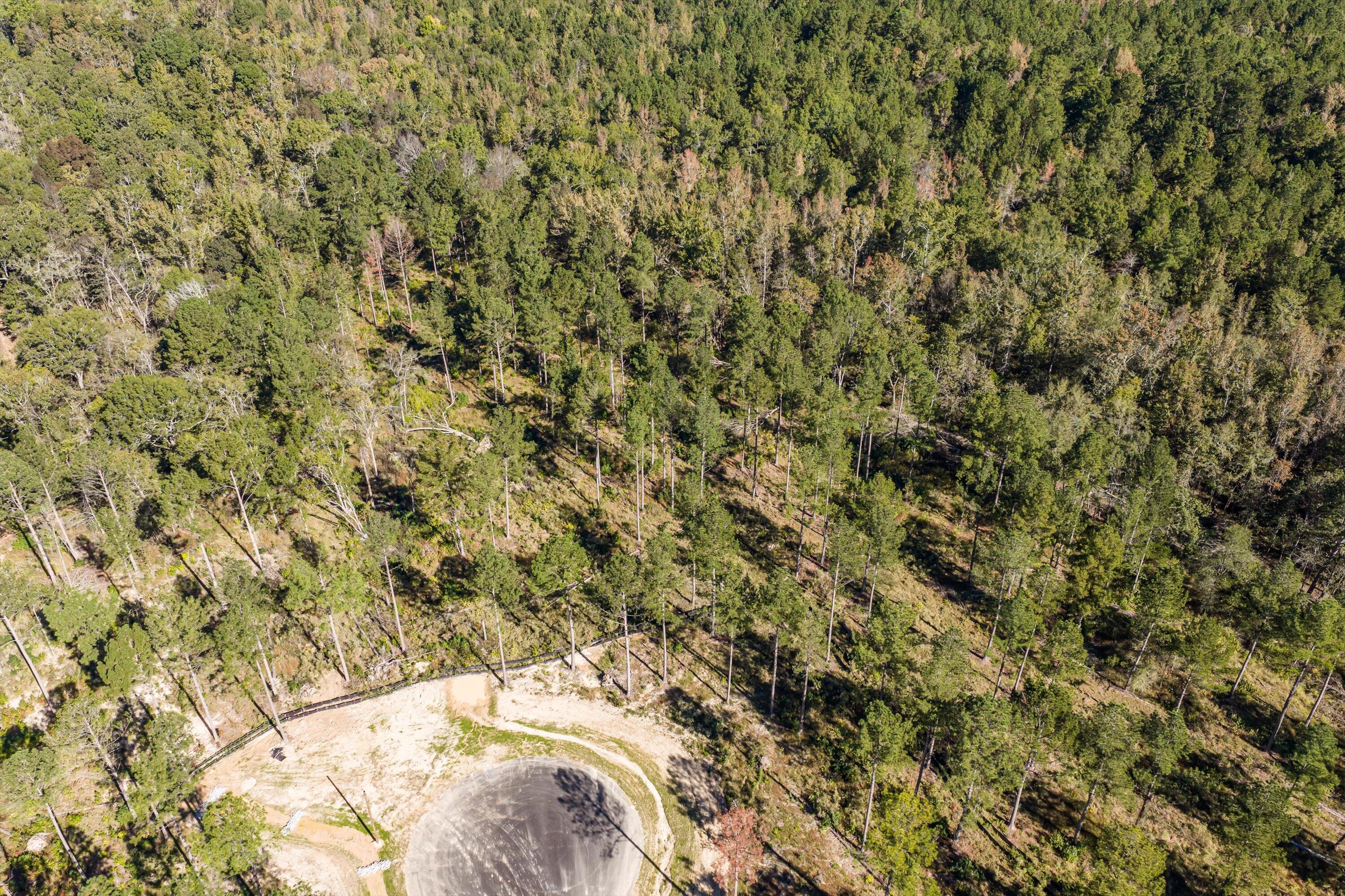 175 Beagle Chase Drive Appling, GA 30802 - Photo 6 of 6 14-Lot9_2