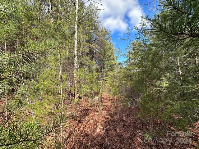 $29,000 | 0 Conroy Court, Unit 85, Collettsville, NC 28611