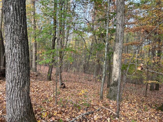 955 Earnest Jones Road Apex, NC 27523 - Photo 7 of 14 IMG_6784