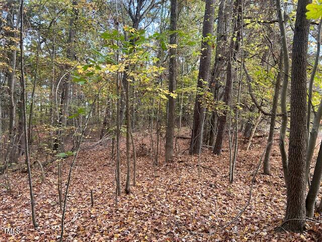 955 Earnest Jones Road Apex, NC 27523 - Photo 8 of 14 IMG_6785