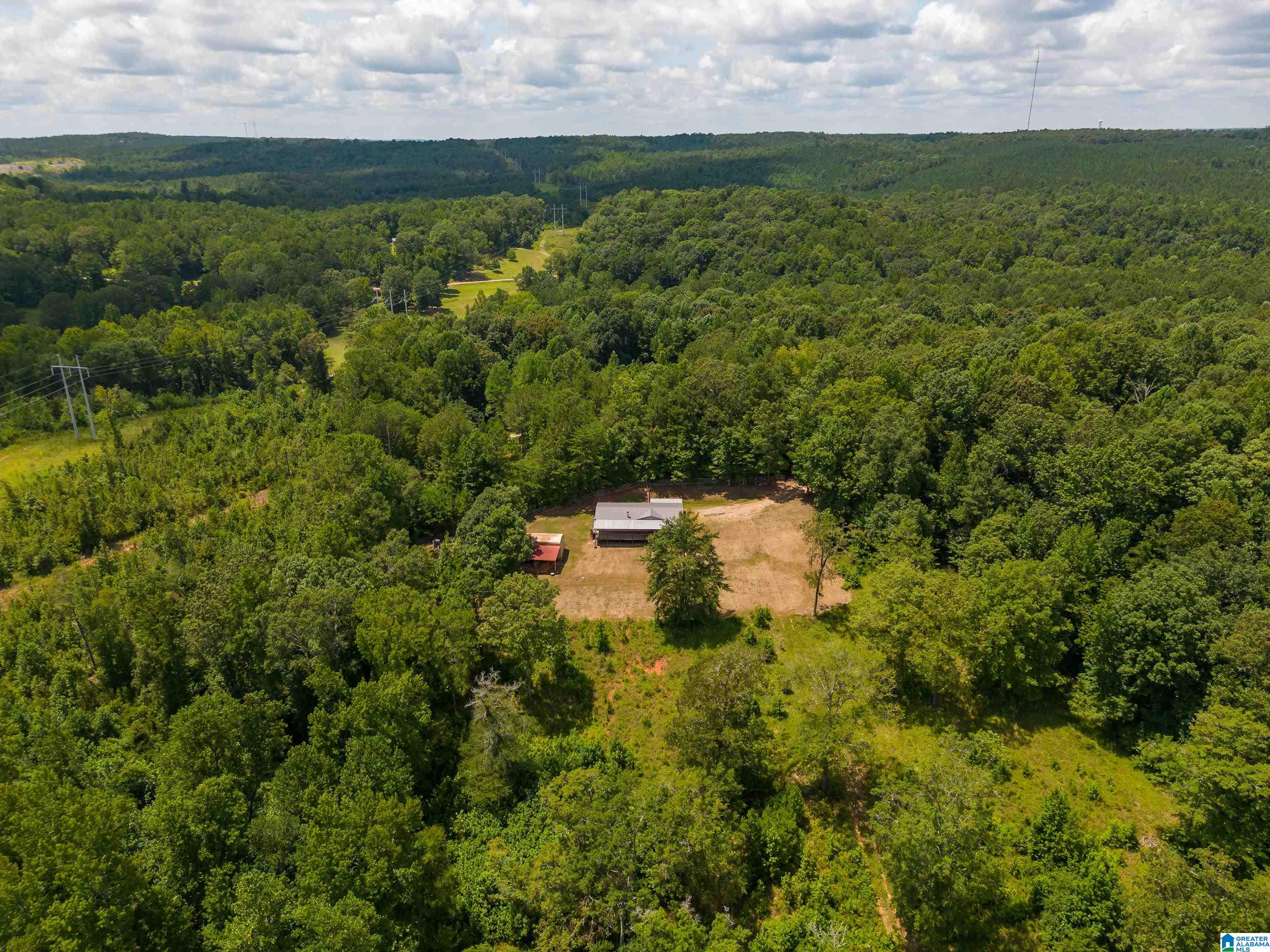 1042 Story Road Woodstock, AL 35188 - Photo 8 of 33