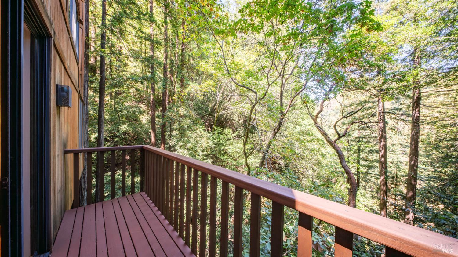 580 Ralston Avenue Mill Valley, CA 94941 - Photo 47 of 50