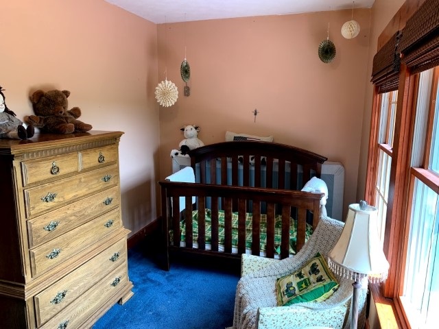 1718 Maple Ridge Road Twining, MI 48766 - Photo 28 of 36 1865949-27.JPG