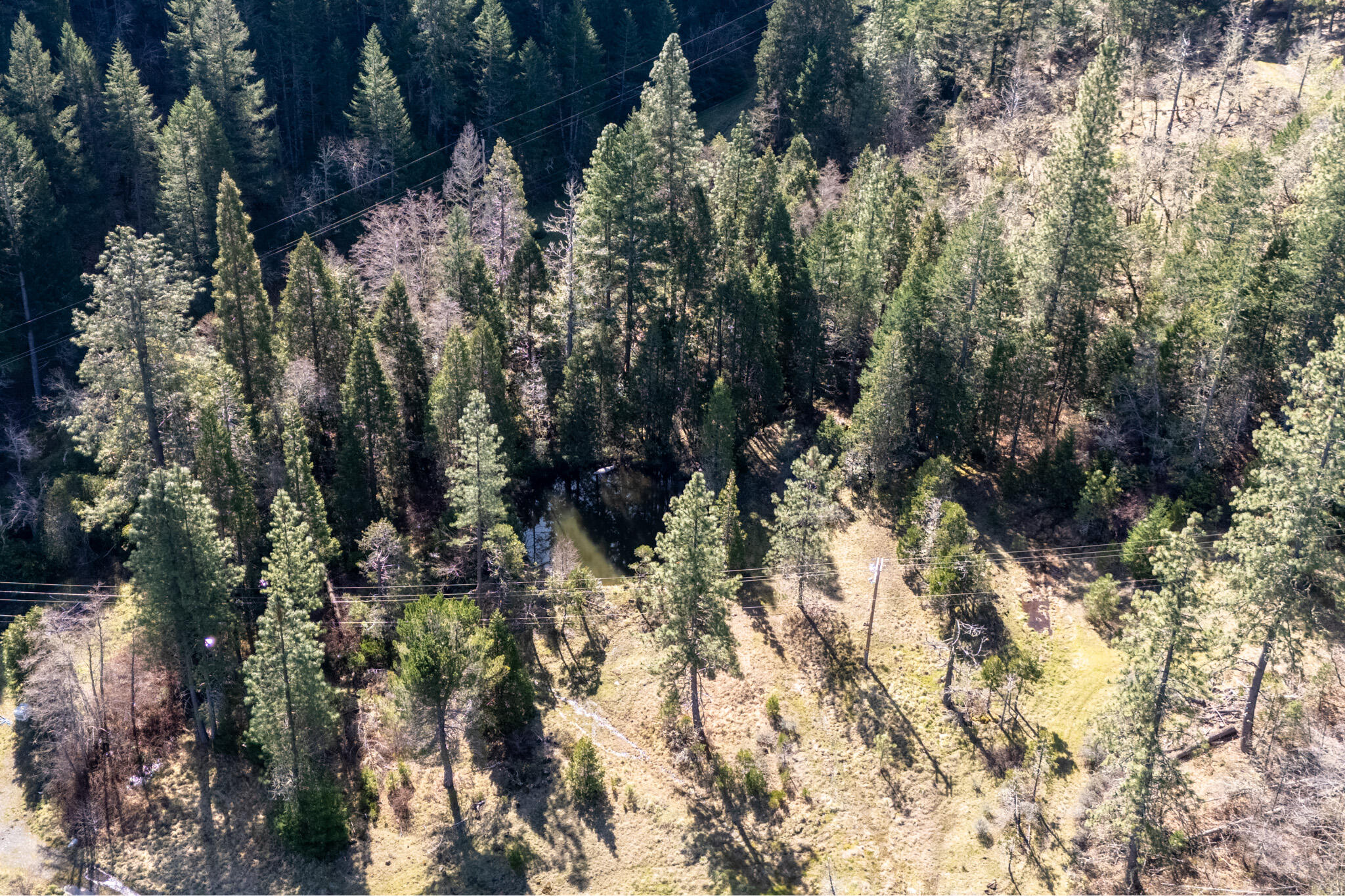 Warren Tl:1202 Road Selma, OR 97538 - Photo 1 of 1 Warren
