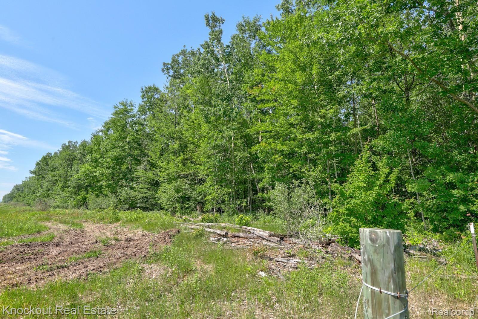1000 West Kitchen Road Rhodes, MI 48652 - Photo 27 of 34 Kitchen Lots Bay County-24.jpg