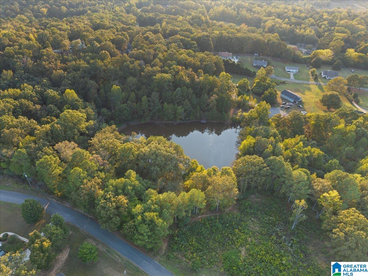 0 Shady Point Road, Unit 18 18 & 19 Locust Fork, AL 35097 - Photo 23 of 26