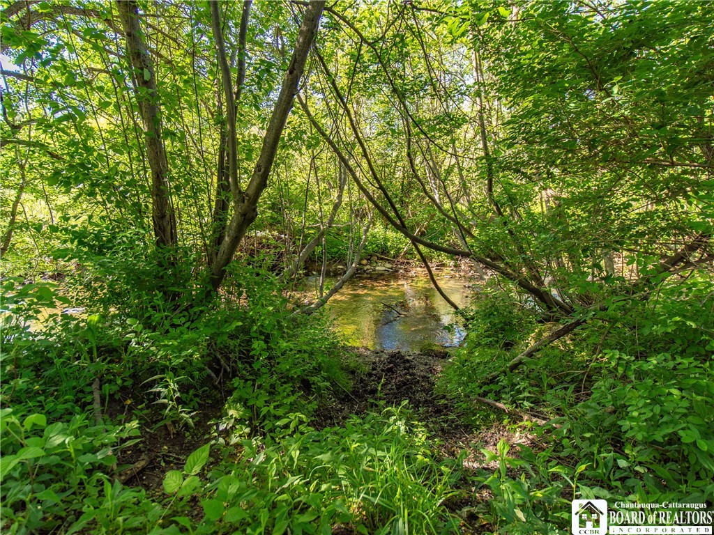 3946 Camp Road Sherman, NY 14781 - Photo 44 of 48