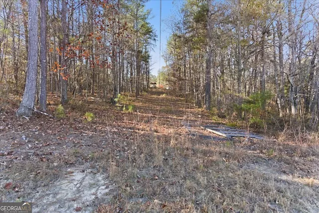 a view of a dry yard