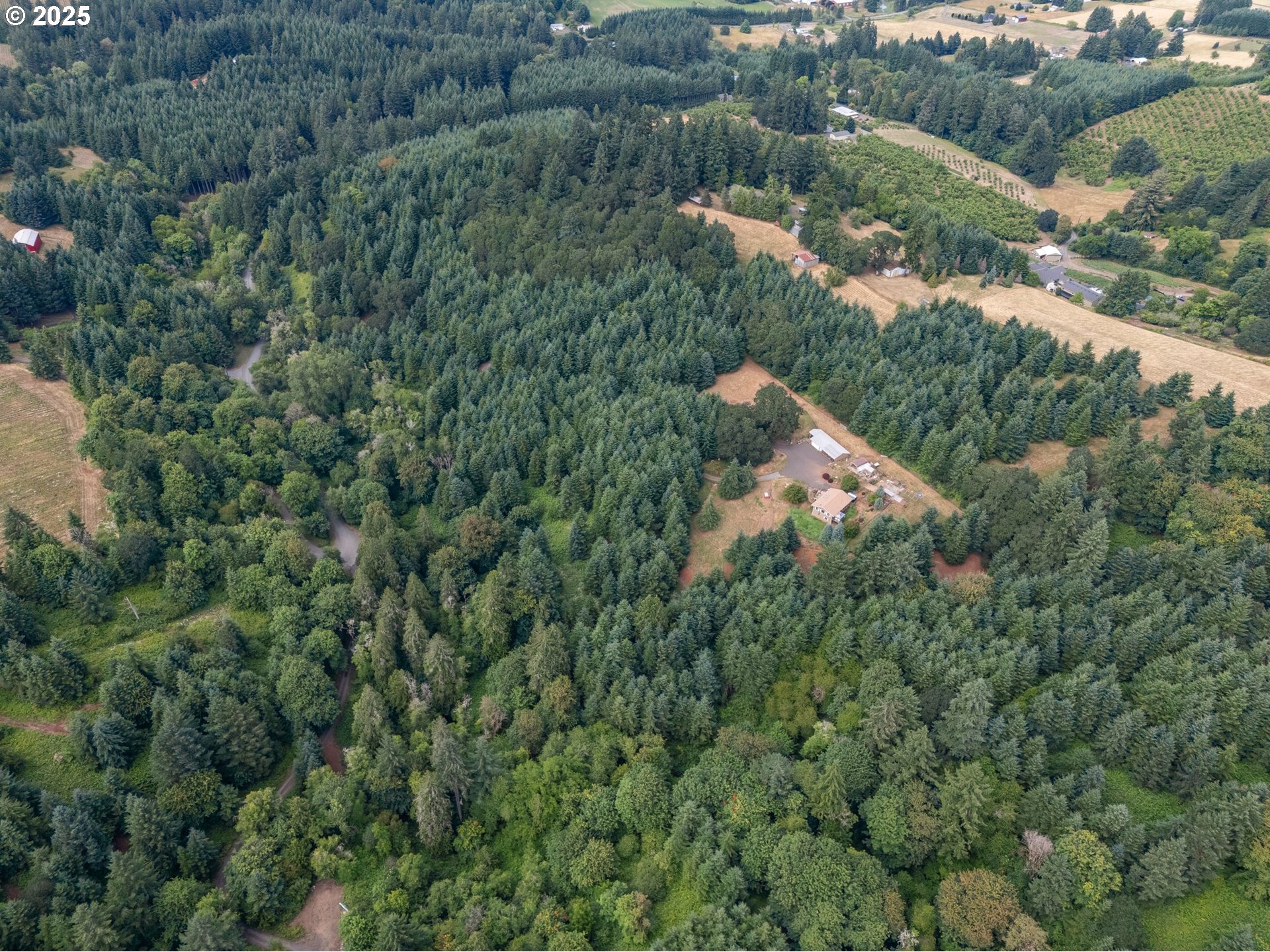 19791 Northeast Sunnycrest Road Newberg, OR 97132 - Photo 37 of 40 an aerial view of residential houses with outdoor space and trees