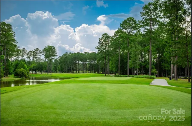 a view of a park with large trees