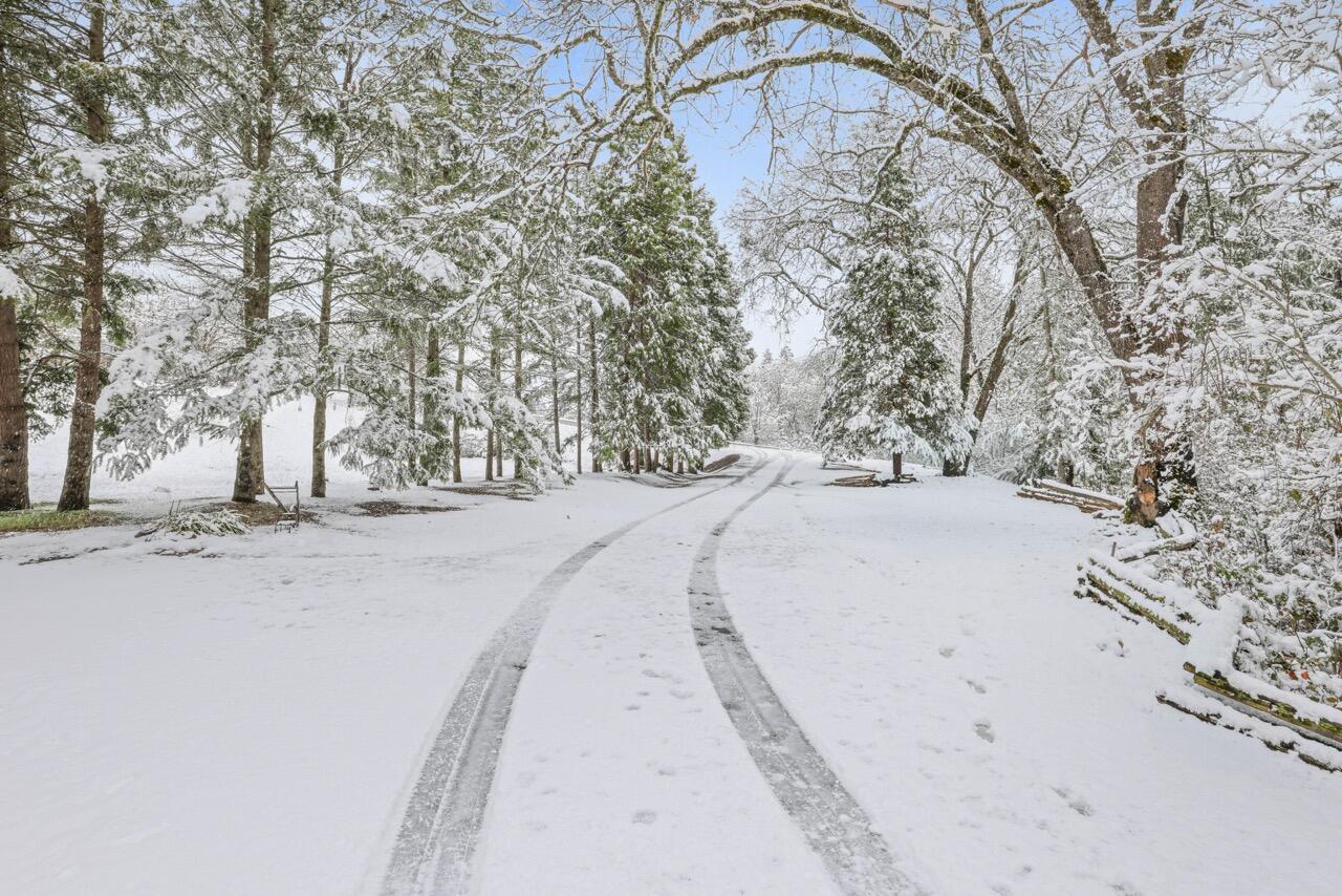 3808 Andrews Road Medford, OR 97501 - Photo 7 of 32 Hart Diveway snow