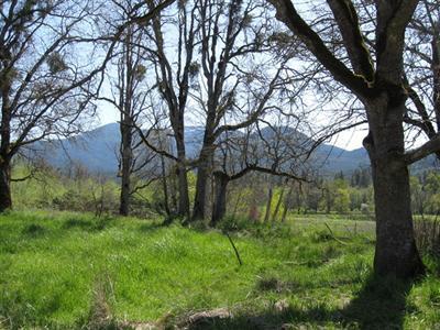 181 Holmstead Road Williams, OR 97544 - Photo 5 of 5 Additional Photo