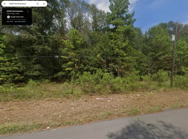 a view of outdoor space and yard