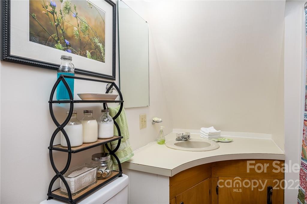 20 Lady Slipper Loop Newland, NC 28657 - Photo 24 of 44 a bathroom with a sink and a mirror