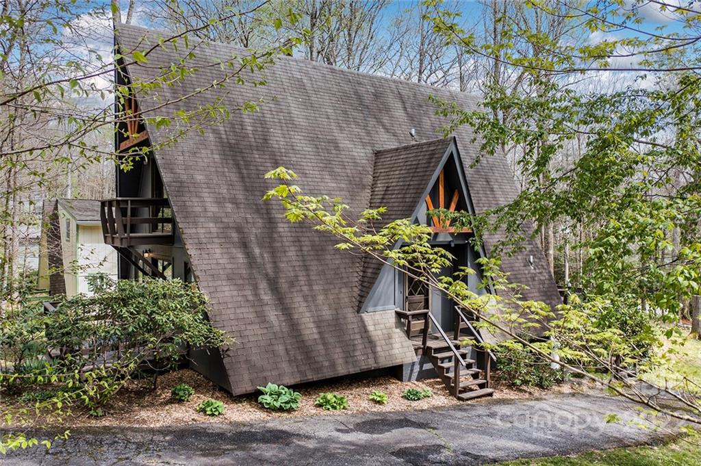 20 Lady Slipper Loop Newland, NC 28657 - Photo 4 of 44 a plant