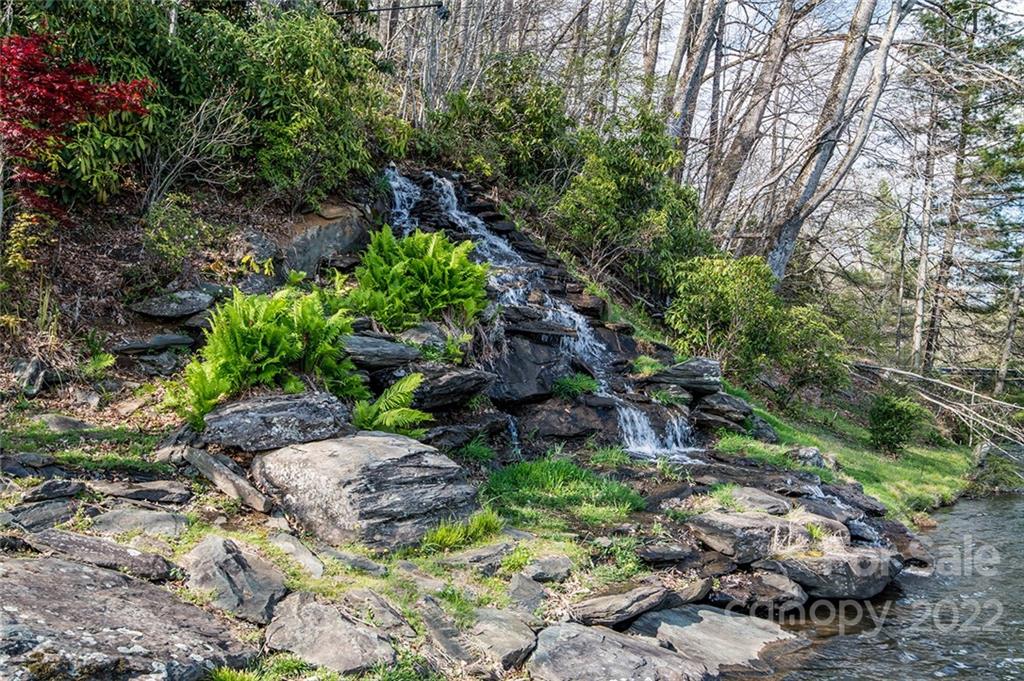20 Lady Slipper Loop Newland, NC 28657 - Photo 44 of 44 a garden with lots of trees