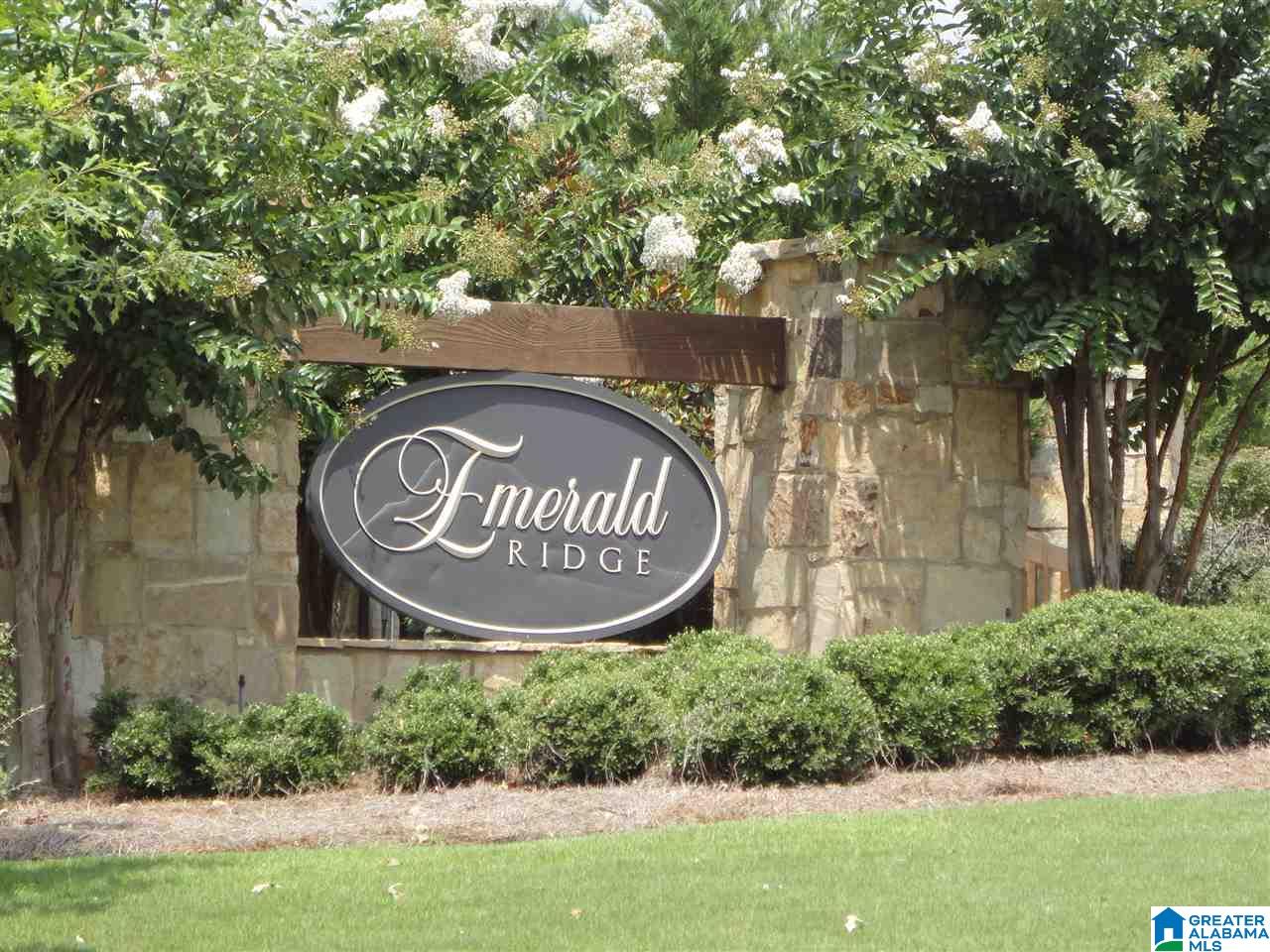 1118 Emerald Ridge Drive Calera, AL 35040 - Photo 34 of 37