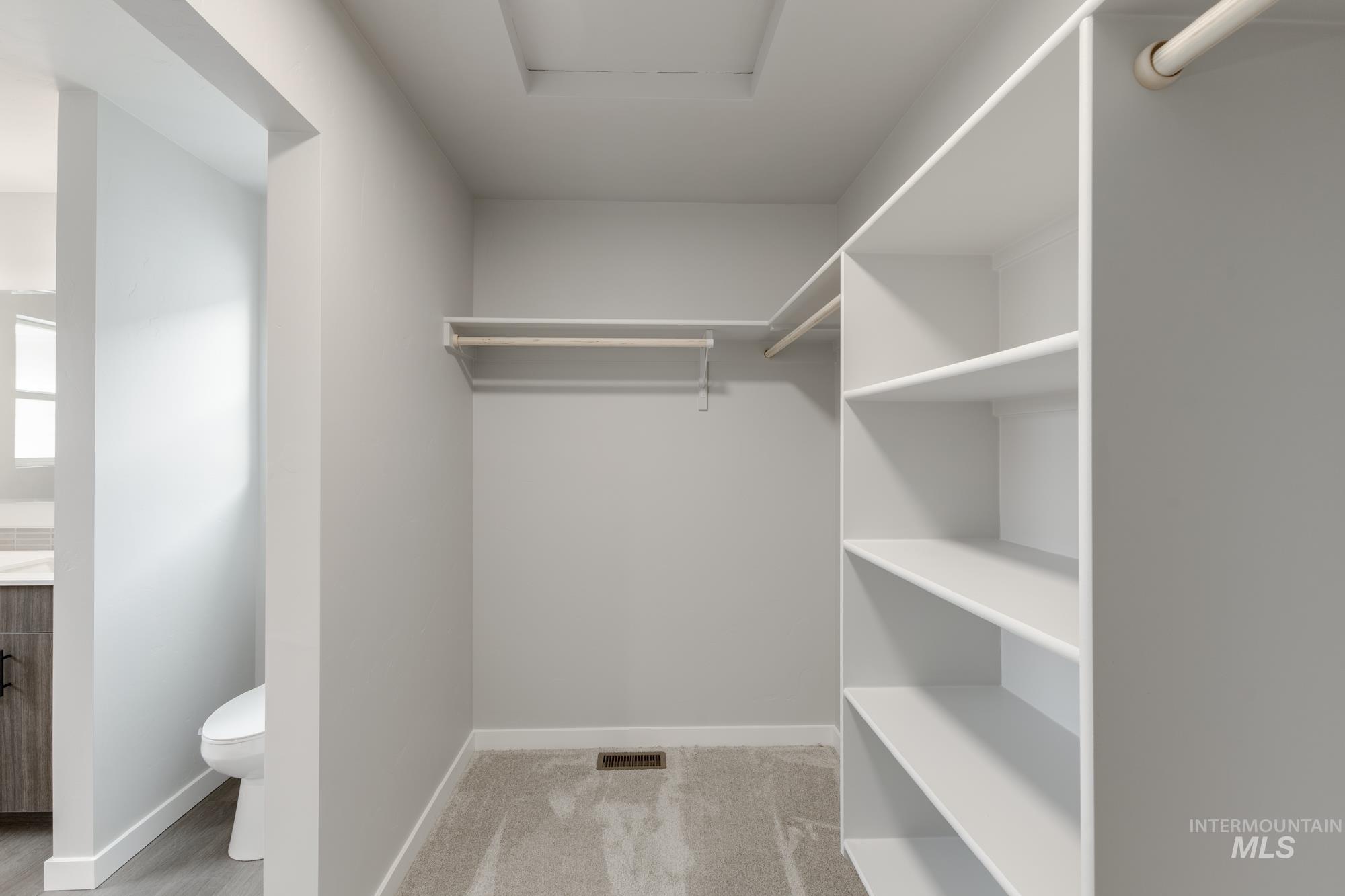 3672 West Dover Drive Meridian, ID 83642 - Photo 23 of 23 Walk in closet featuring light carpet