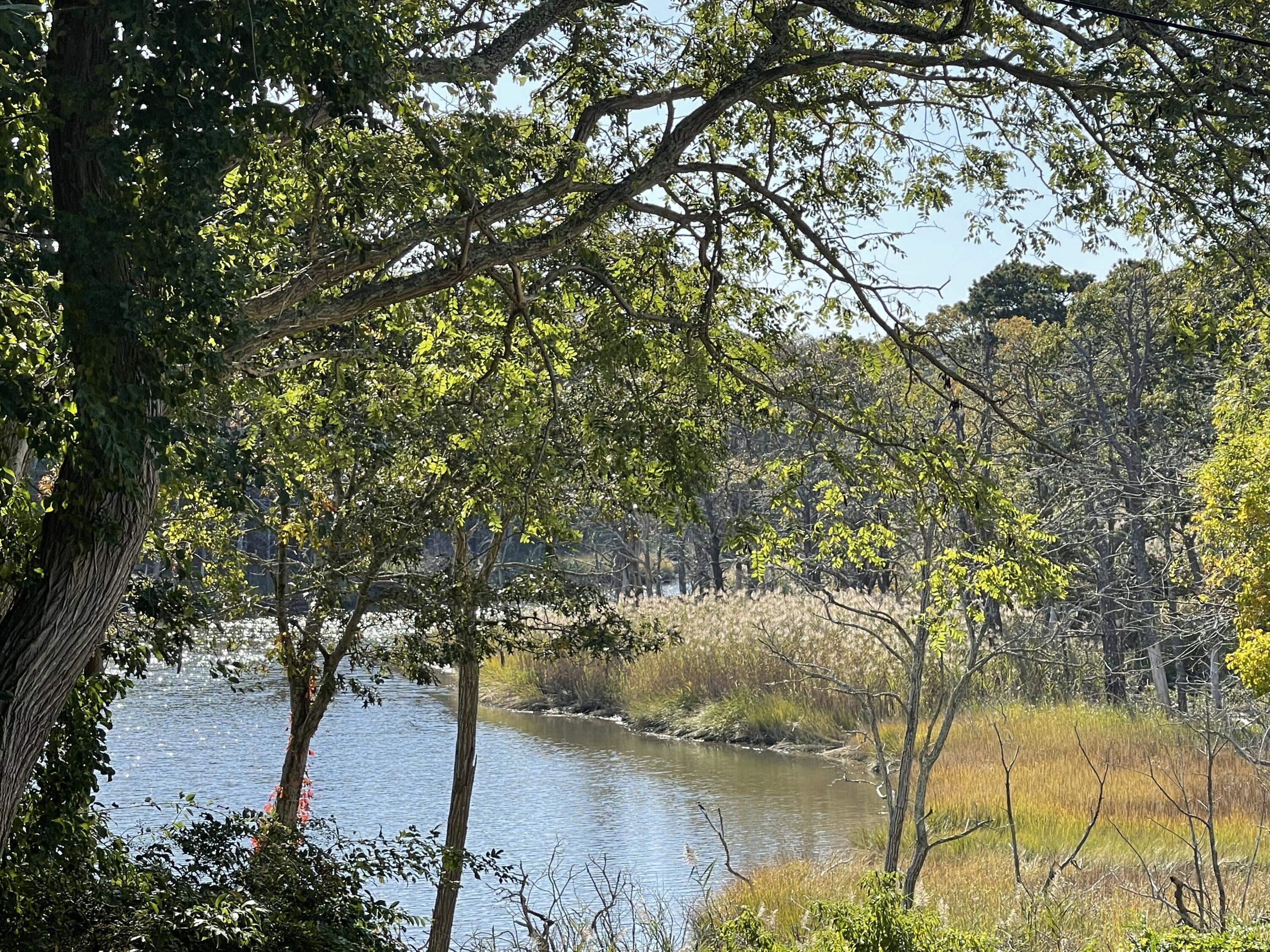 3 Nickerson Road Harwich, MA 02645 - Photo 7 of 23 a view of lake from a tree
