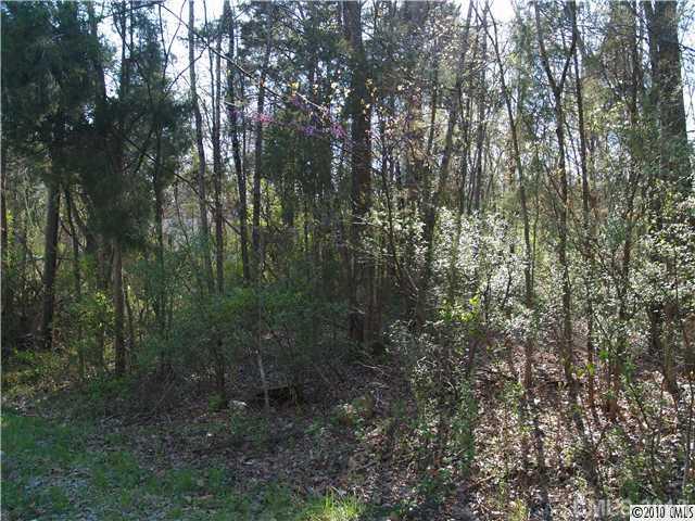 11215 Johnson-Davis Road Huntersville, NC 28078 - Photo 1 of 2 Gallery Image 1