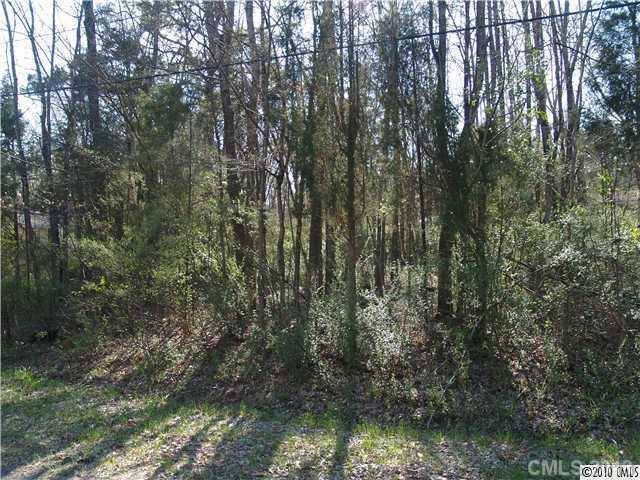 11215 Johnson-Davis Road Huntersville, NC 28078 - Photo 2 of 2 Gallery Image 2
