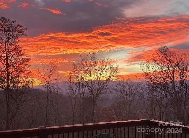 104 Fox Den Road Asheville, NC 28805 - Photo 28 of 28 Gallery Image 28