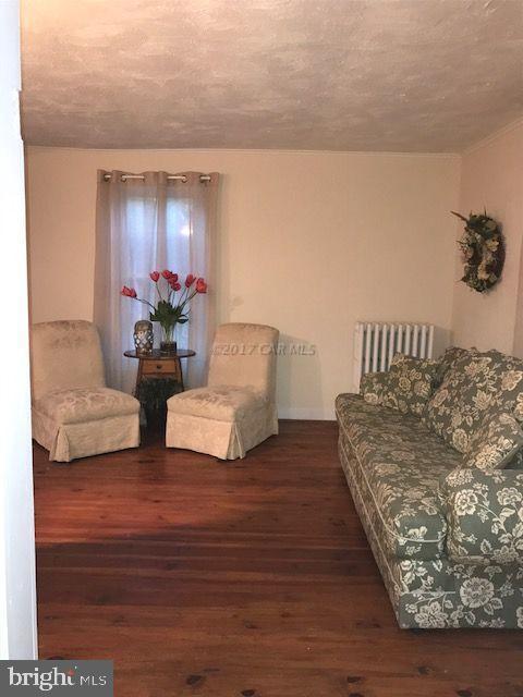 4371 Tyaskin Road Tyaskin, MD 21865 - Photo 7 of 48