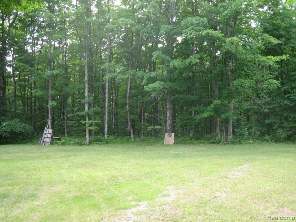 11326 South Hulbert Road Hulbert, MI 49748 - Photo 13 of 43 032.jpg
