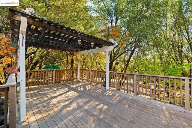 a view of road with large trees