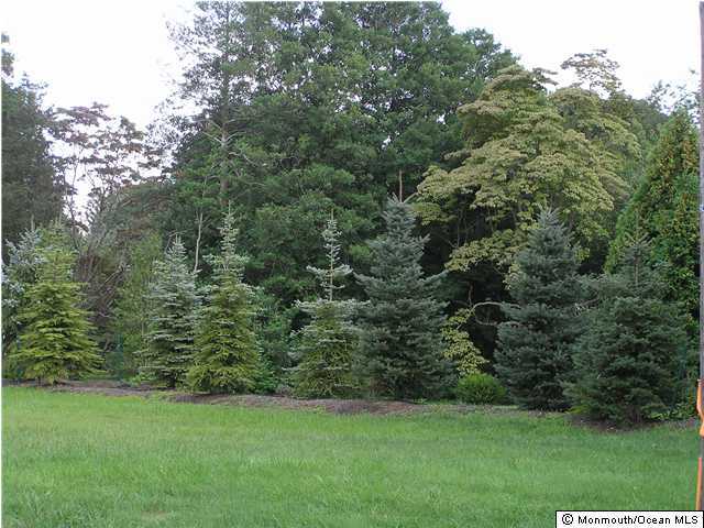 824 Club Road Brielle, NJ 08730 - Photo 3 of 3 a view of a grassy field with trees in the background
