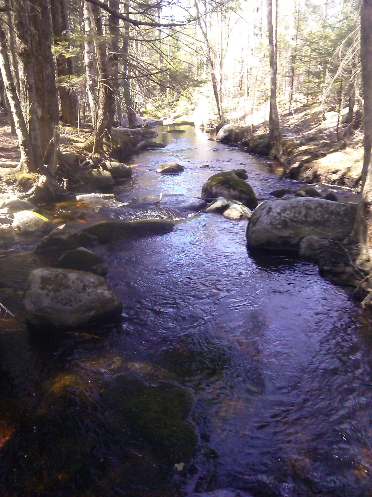 Lot 10 Norway Road Harrison, ME 04040 - Photo 7 of 41 1ABE1E5C-E29A-4069-8101-E63A80ECA7B1