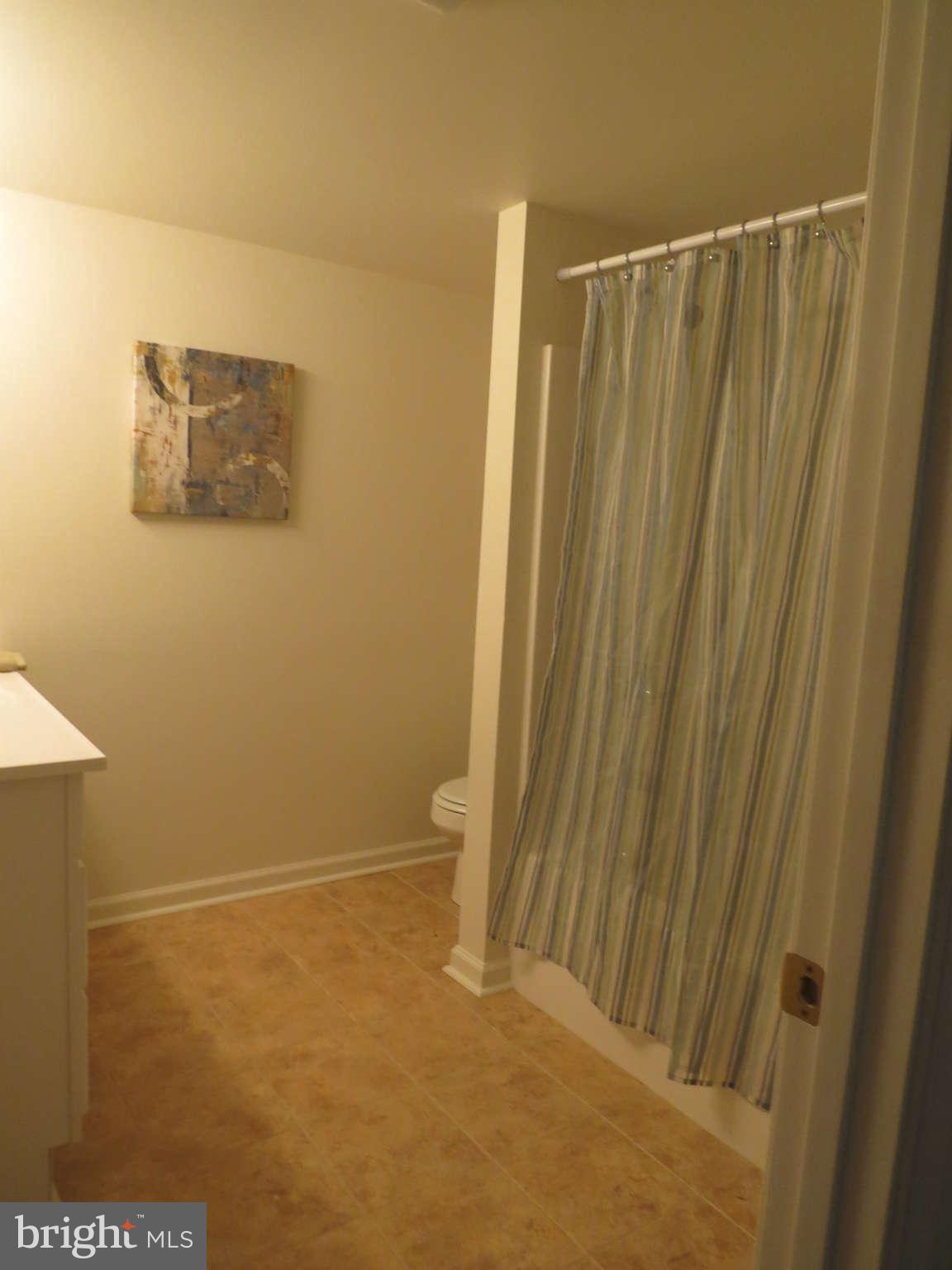 44 Mockingbird Lane Earleville, MD 21919 - Photo 19 of 27 Bath