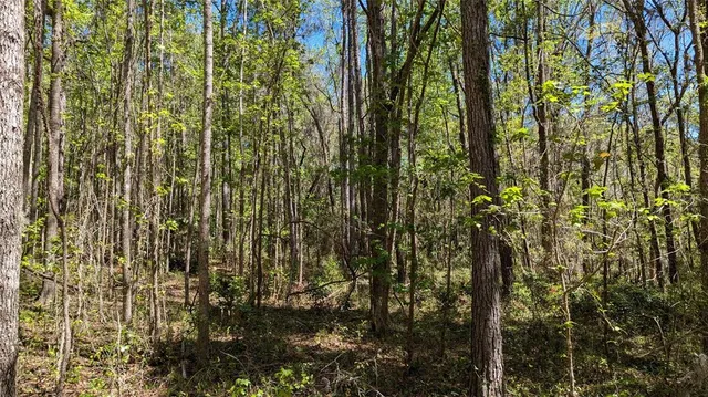 a bathroom with a mirror