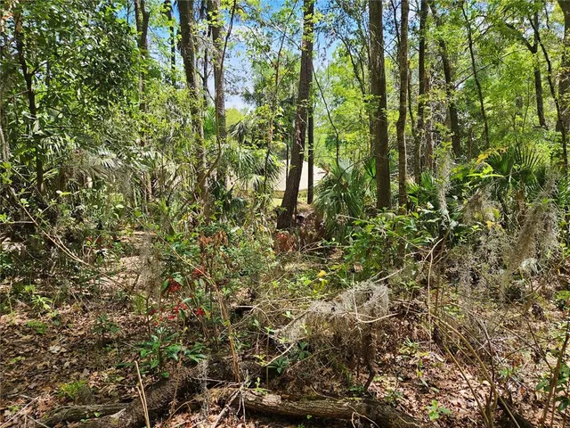 $290,000 | 0 Northwest 35th Avenue, Gainesville, FL 32606