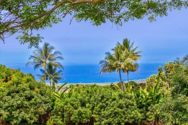 83-5412A Middle Keei Road Captain Cook, HI 96704 - Photo 21 of 25 Gallery Image 21