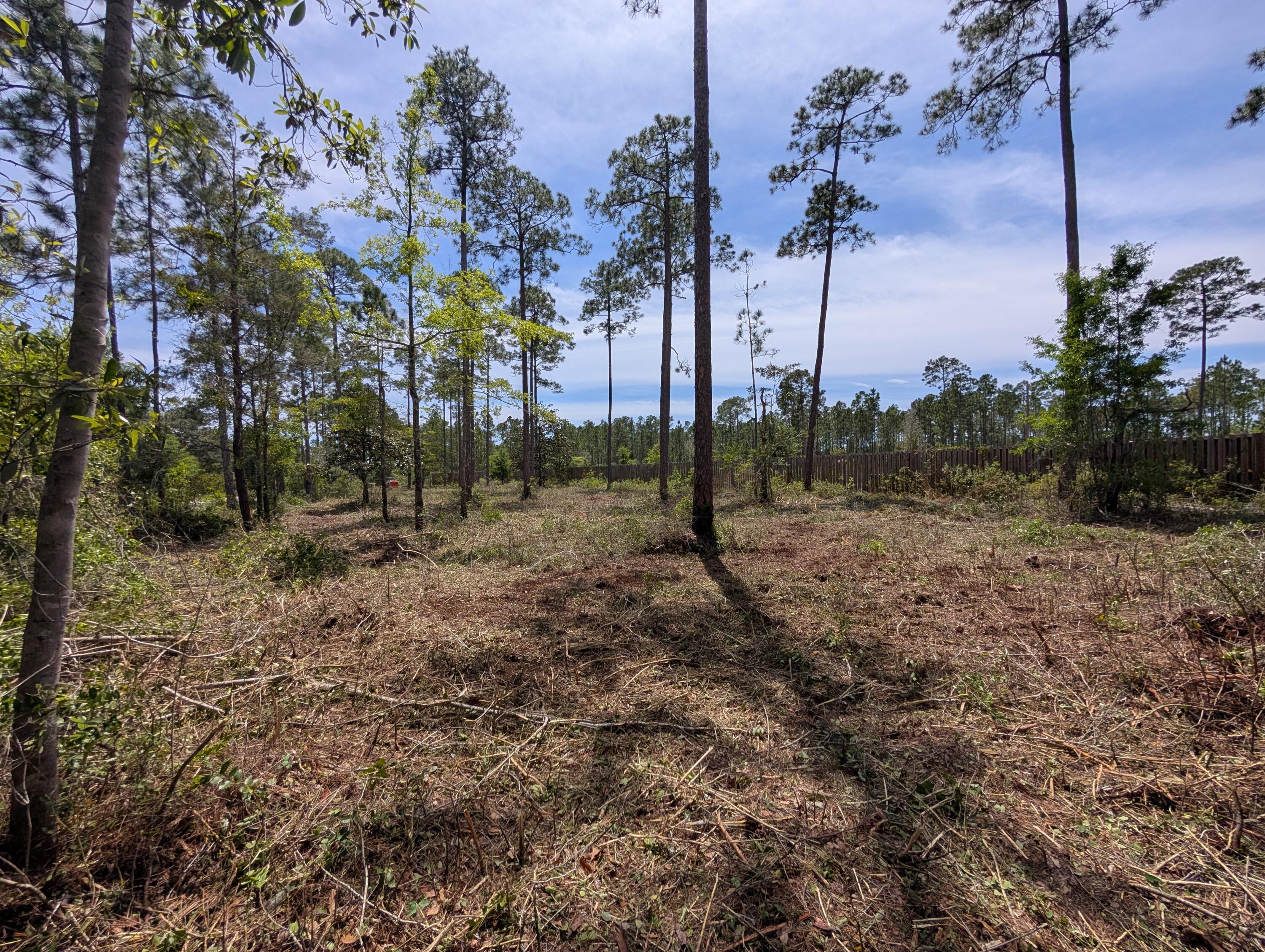0 McDaniels Fishcamp Road Freeport, FL 32439 - Photo 3 of 7 8469