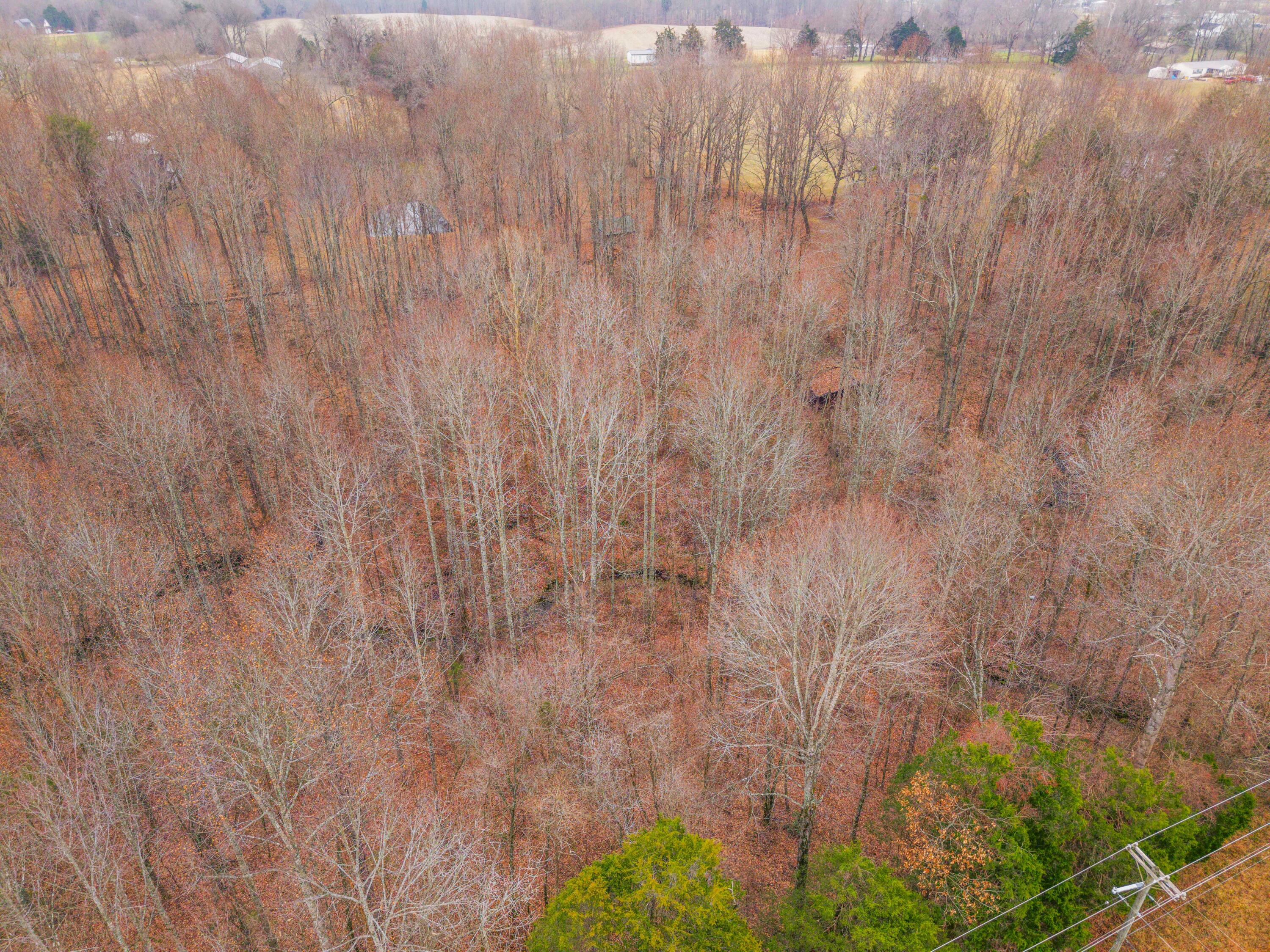 77 Barnett Road Russell Springs, KY 42642 - Photo 36 of 36 77 Barnett Photo-22