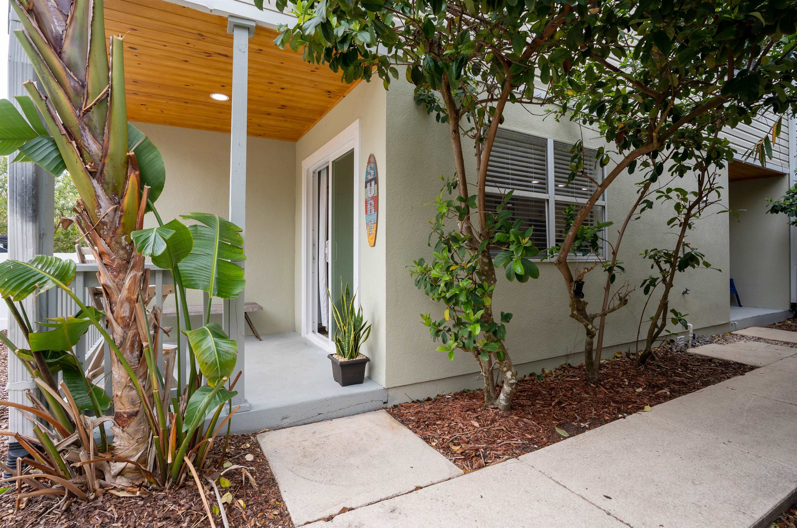 203 E Street, Unit C St. Augustine, FL 32080 - Photo 22 of 36 a plant that is in front of a house