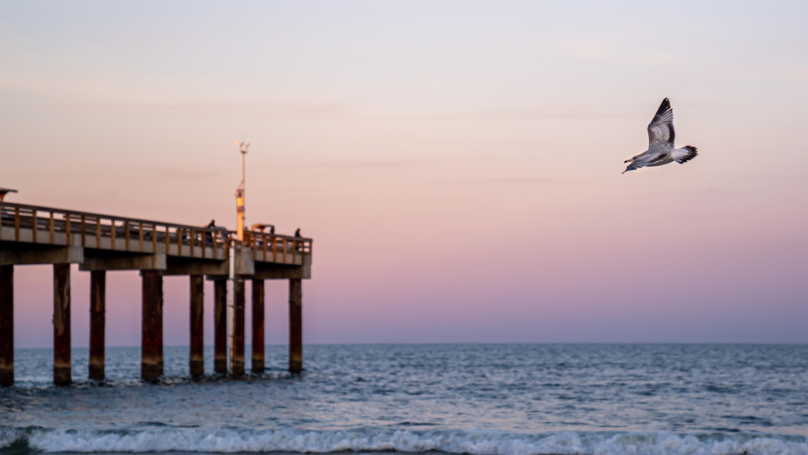 203 E Street, Unit C St. Augustine, FL 32080 - Photo 36 of 36 a view of a ocean view