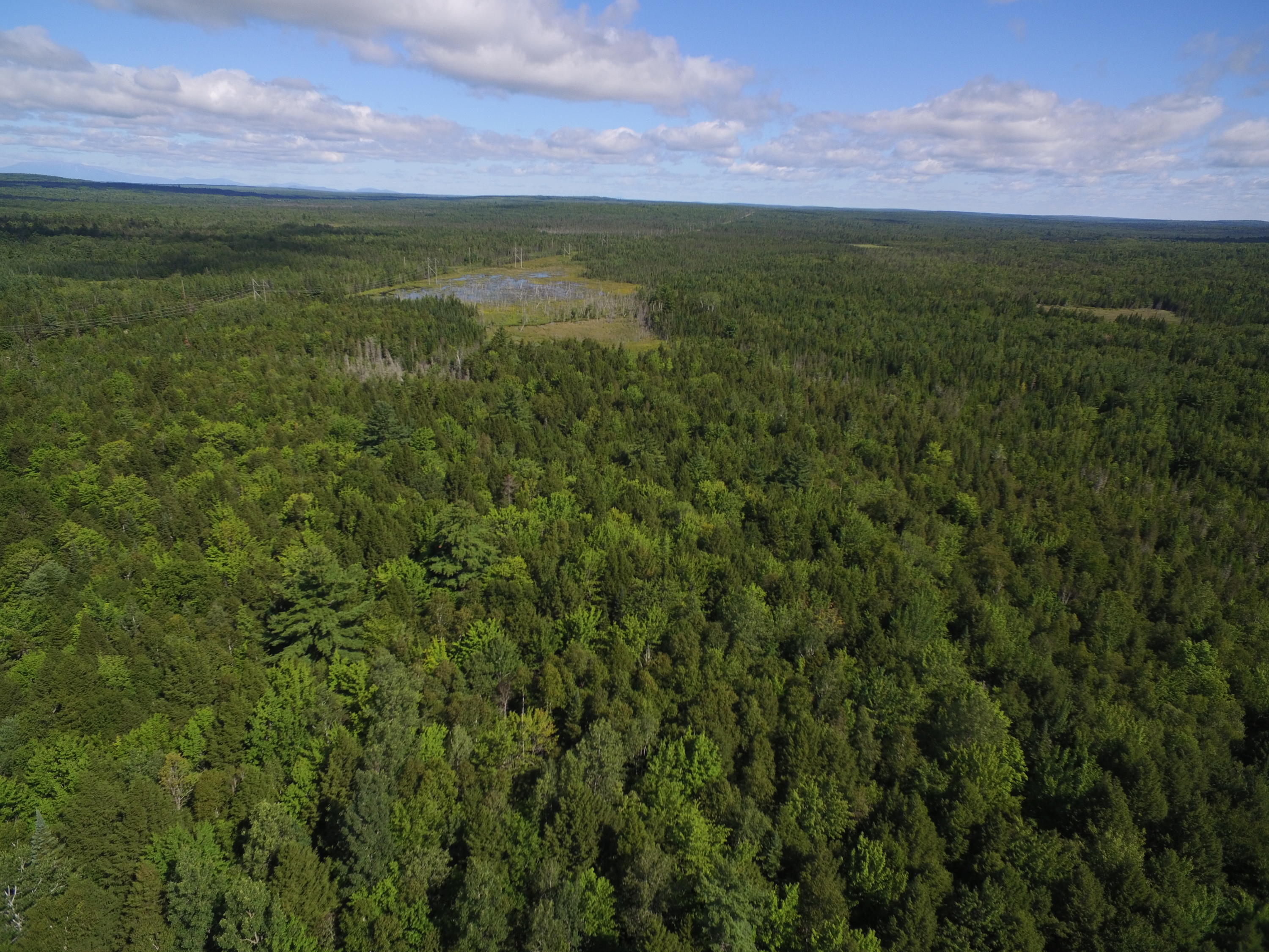 13 Map Road Lincoln, ME 04457 - Photo 5 of 6 DJI_0158